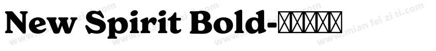 New Spirit Bold字体转换
